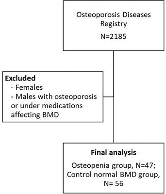 Associations of bone mineral density with sex hormone-binding globulin (SHBG) and testosterone in middle-aged Saudi men: a cross-sectional study